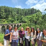 puente nueve arcos, sri lanka, tren, grupo mujeres