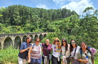 puente nueve arcos, sri lanka, tren, grupo mujeres
