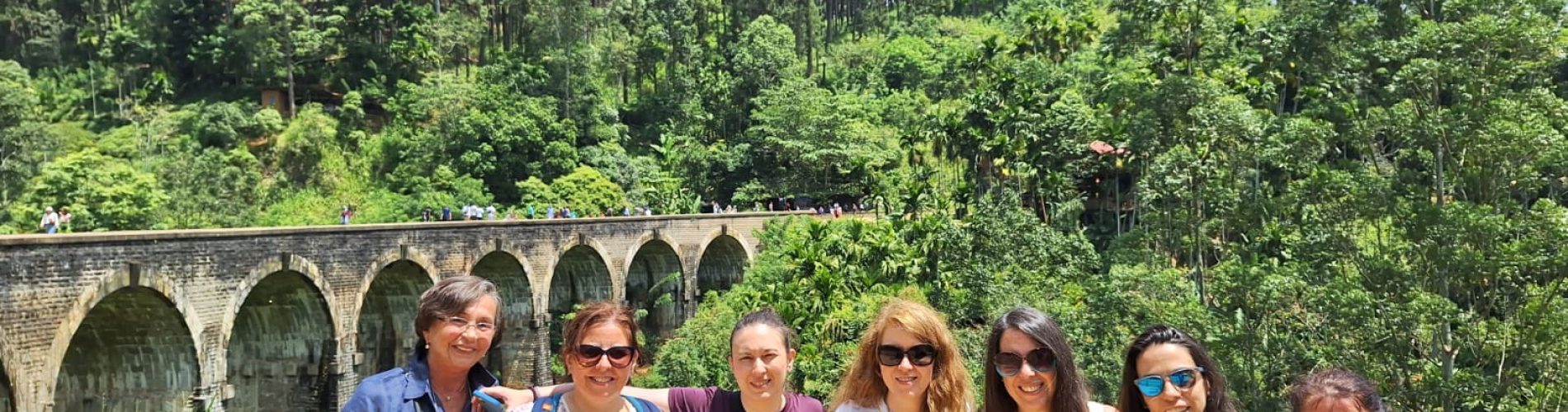 puente nueve arcos, sri lanka, tren, grupo mujeres