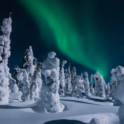 Finlandia, Rovaniemi, Auroras Boreales