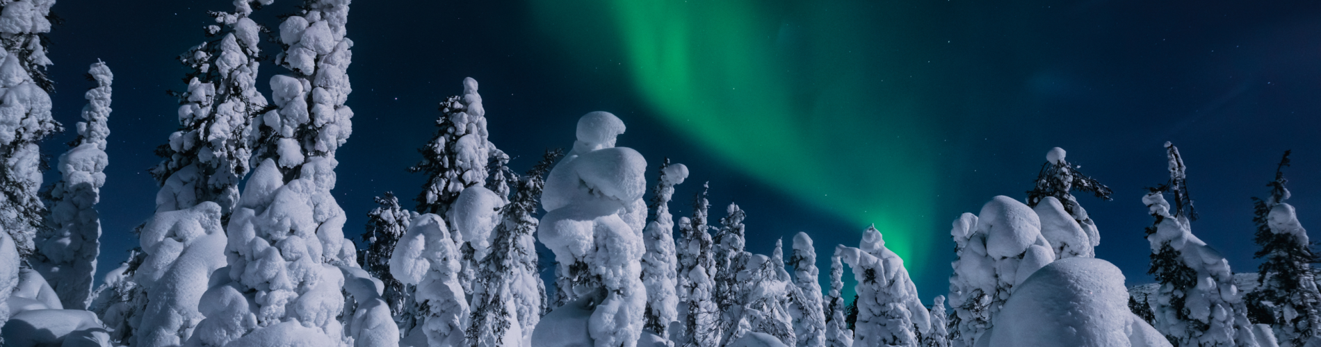 Finlandia, Rovaniemi, Auroras Boreales