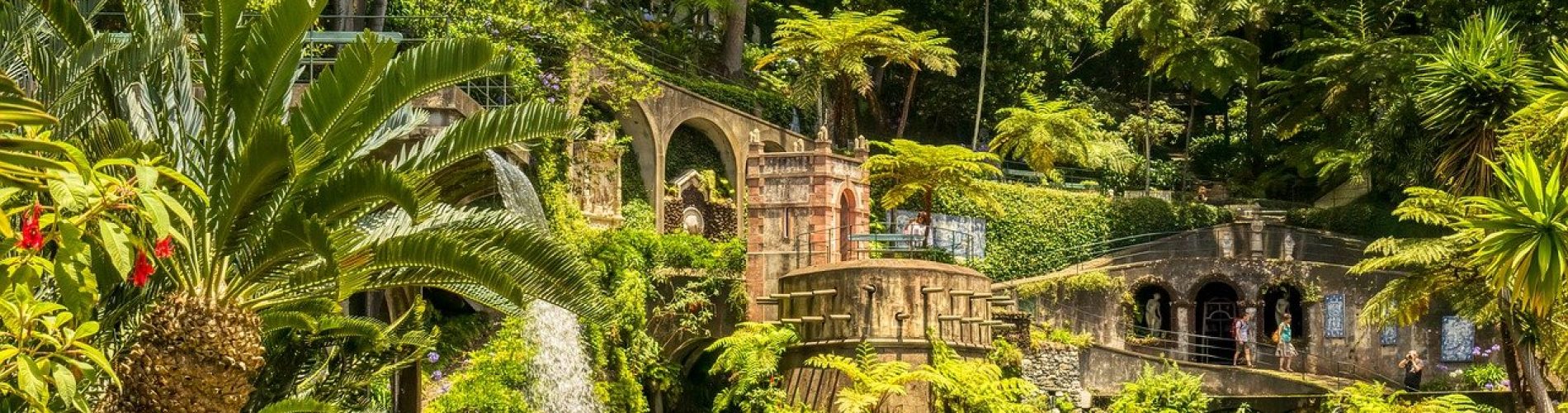 Funchal, jardines, Portugal