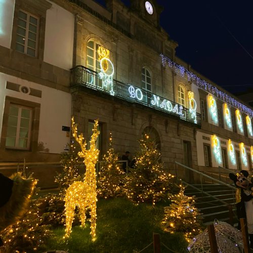 mercadillos navidad,vigo,galicica, ciervo, nadal, viajes