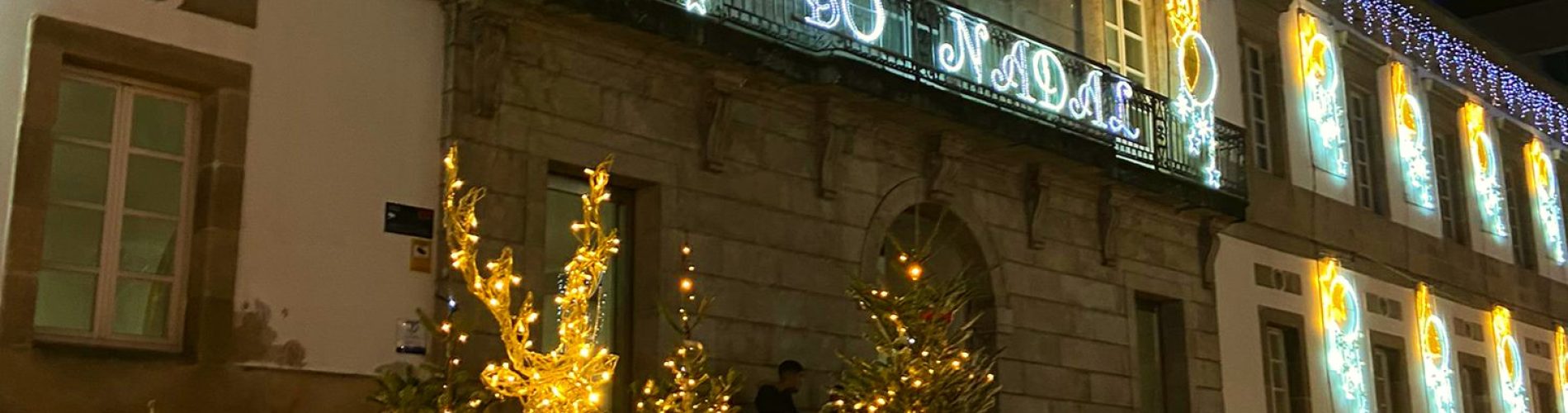 mercadillos navidad,vigo,galicica, ciervo, nadal, viajes