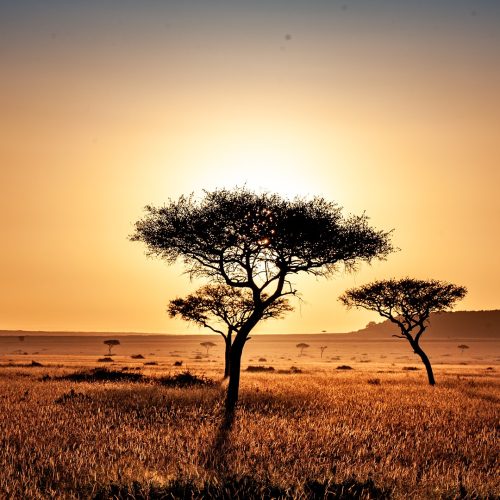 Kenia atardecer