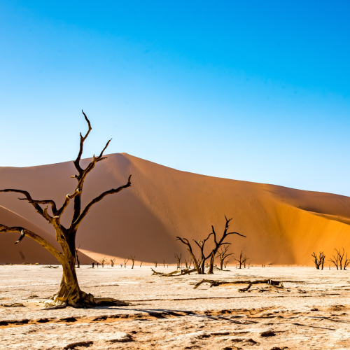 Namibia, Dead Valley