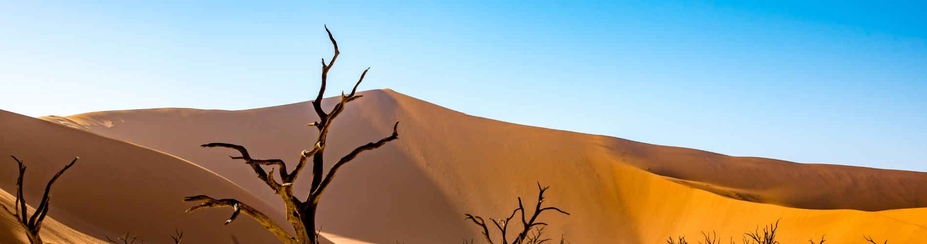 Namibia, Dead Valley