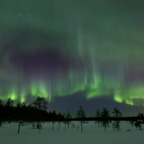 Revontulet, Rovaniemi.