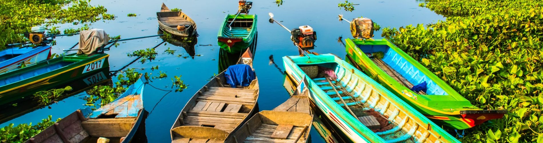 barcos colores lago lotus farm, camboya, viajes